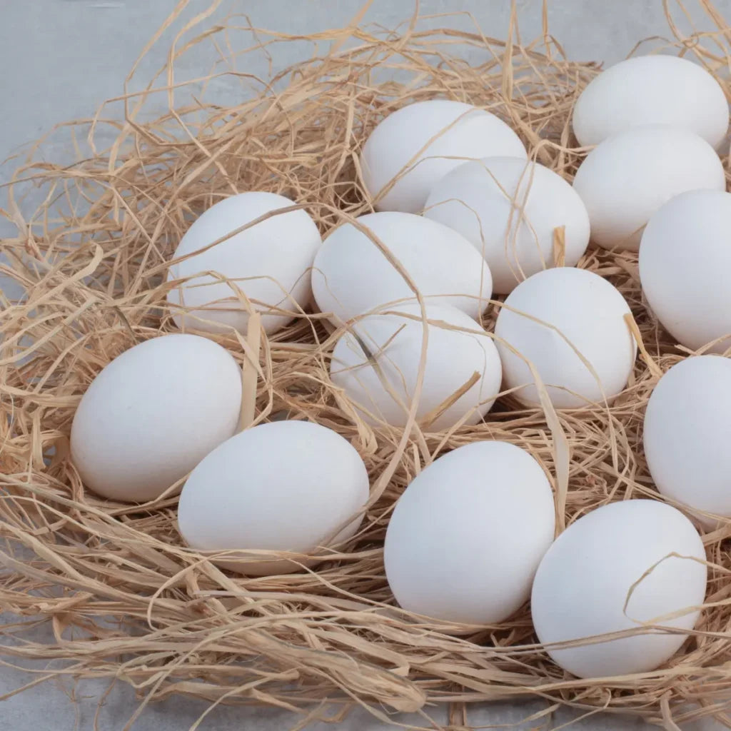 Huevos Orgánicos