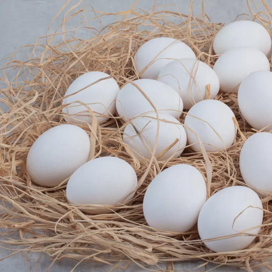 Huevos Orgánicos